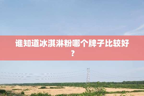 谁知道冰淇淋粉哪个牌子比较好？
