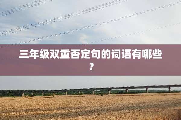 三年级双重否定句的词语有哪些？