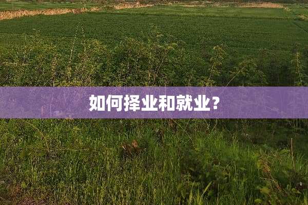 如何择业和就业？