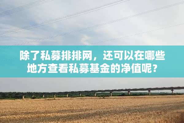 除了私募排排网，还可以在哪些地方查看私募基金的净值呢？