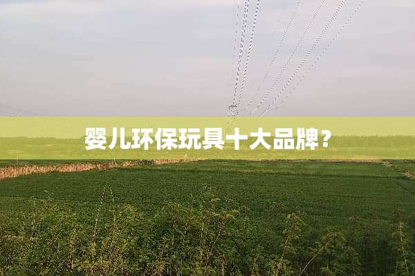 婴儿环保玩具十大品牌？