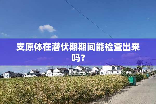 支原体在潜伏期期间能检查出来吗？