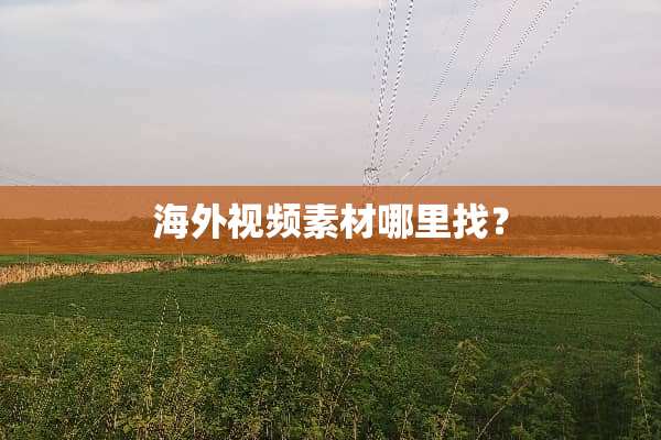 海外视频素材***？