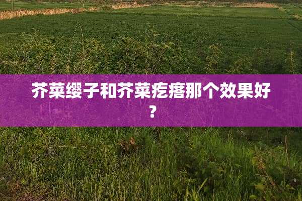 芥菜缨子和芥菜疙瘩那个效果好？