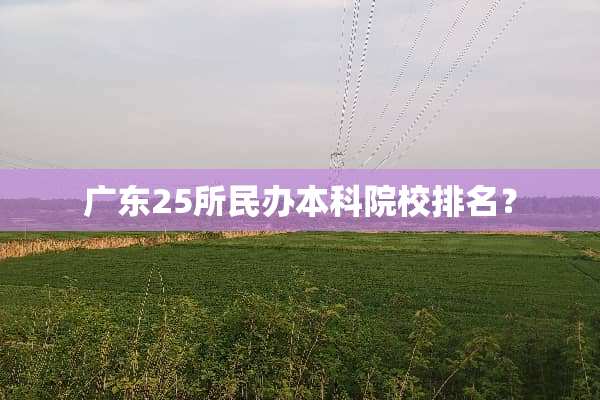 广东25所民***院校排名？