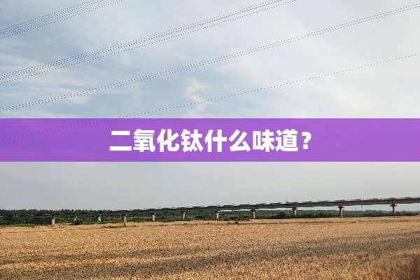 二**钛什么味道？