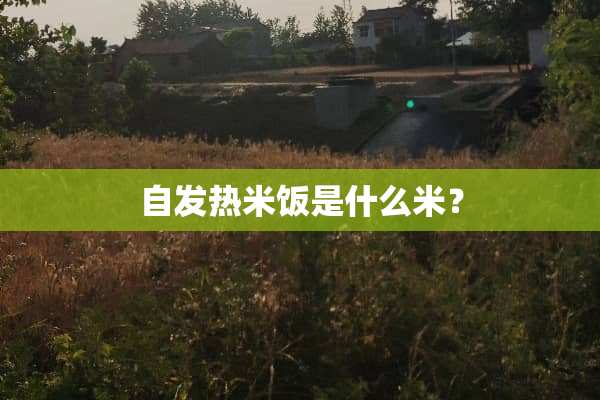 自发热米饭是什么米？