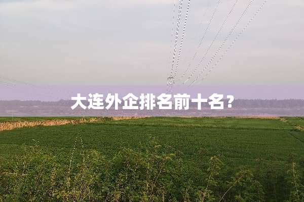 大连外企排名前十名？