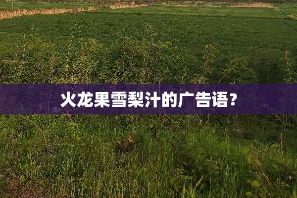 火龙果雪梨汁的广告语？