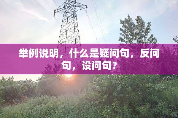 举例说明，什么是疑问句，反问句，设问句？