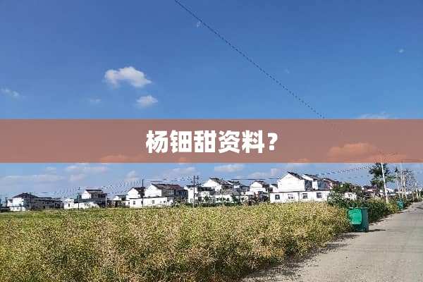 杨钿甜资料？