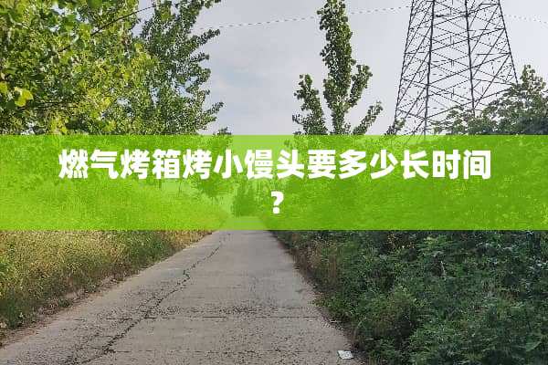 燃气烤箱烤小馒头要多少长时间？