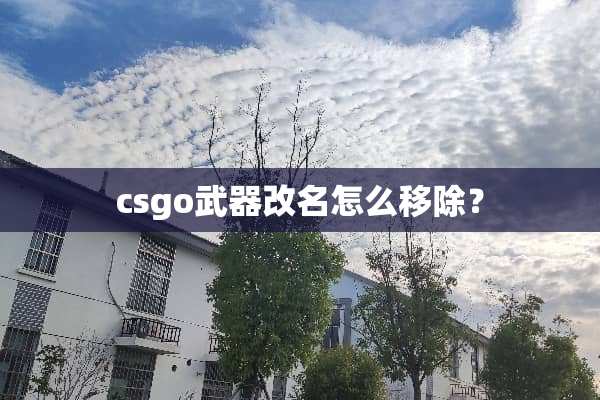 csgo**改名怎么移除？