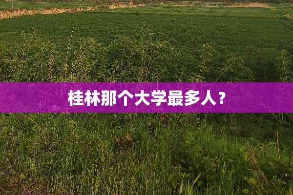 桂林那个大学最多人？