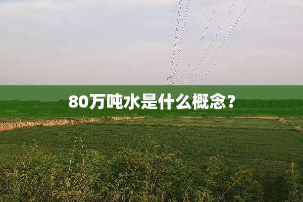 80万吨水是什么概念？