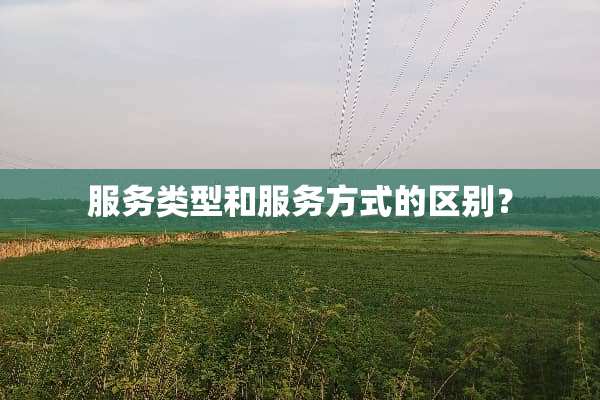 服务类型和服务方式的区别？