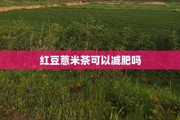 红豆薏米茶可以减肥吗