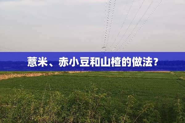 薏米、赤小豆和山楂的做法？