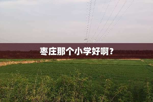枣庄那个小学好啊？