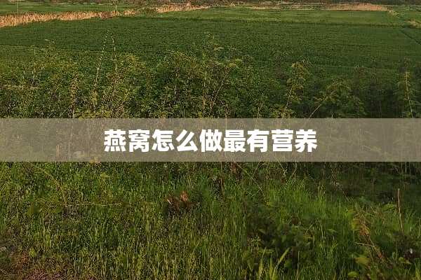 燕窝怎么做最有营养