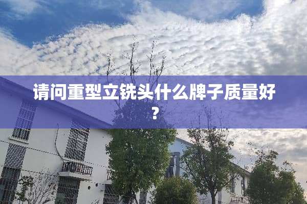 请问重型立铣头什么牌子质量好？