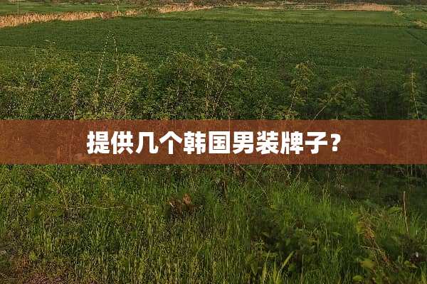 提供几个韩国男装牌子？
