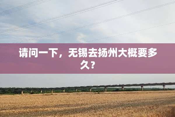 请问一下，无锡去扬州大概要多久？