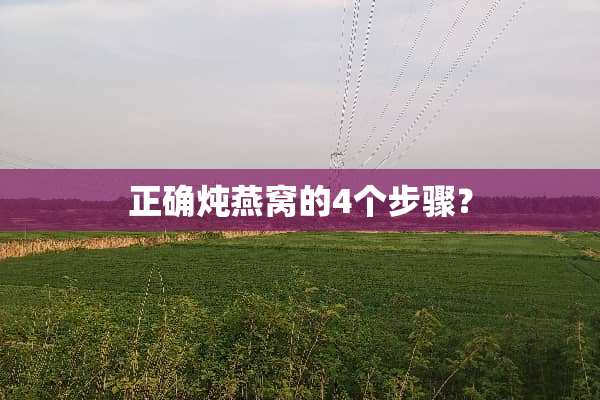 正确炖燕窝的4个步骤？