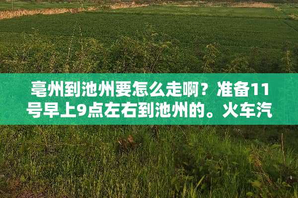亳州到池州要怎么走啊？准备11号早上9点左右到池州的。火车汽车都可以啦？
