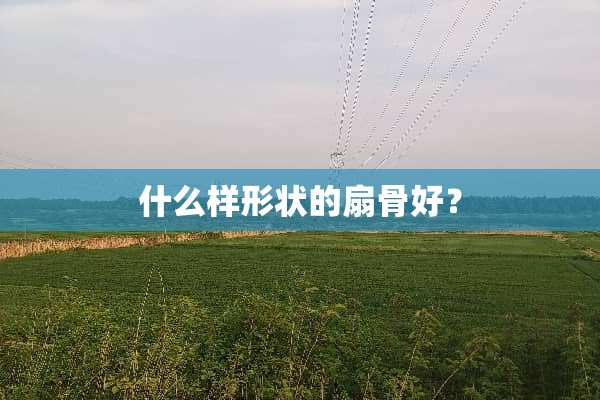 什么样形状的扇骨好？