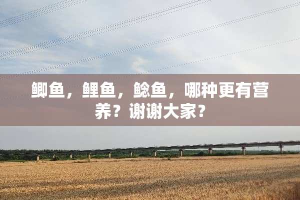 鲫鱼，鲤鱼，鲶鱼，哪种更有营养？谢谢大家？