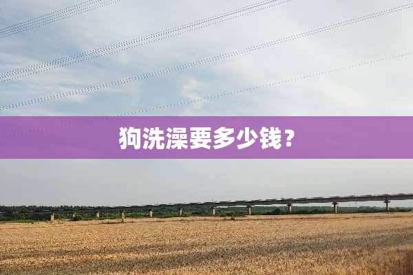 狗洗澡要多少钱？