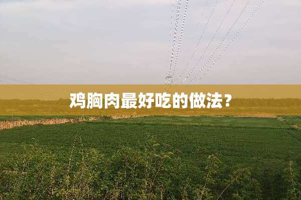 鸡胸肉最好吃的做法？