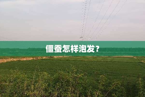 僵蚕怎样泡发？