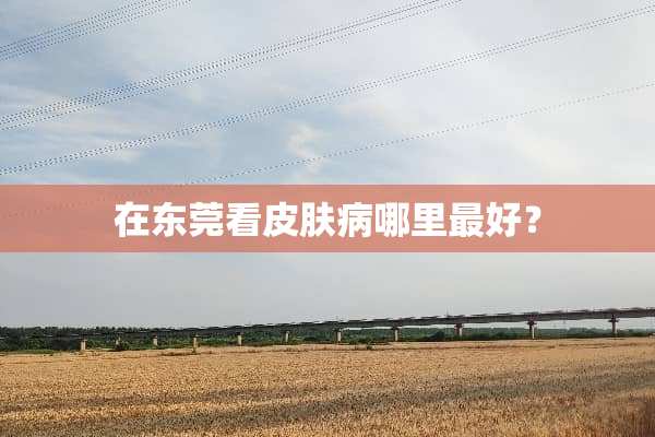 在东莞看皮肤病哪里最好？