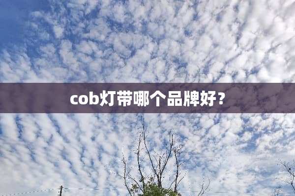 cob灯带哪个品牌好？