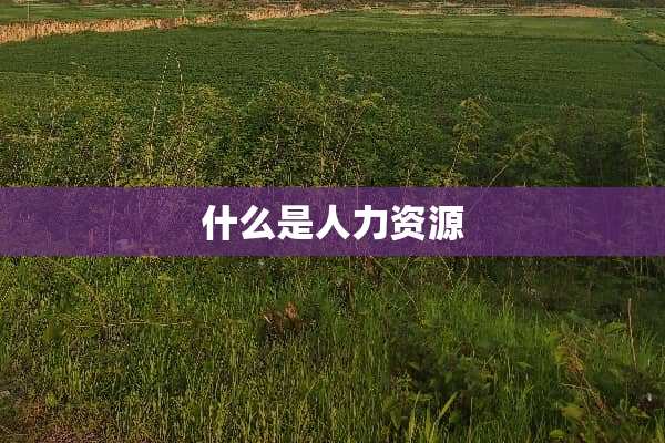 什么是人力资源