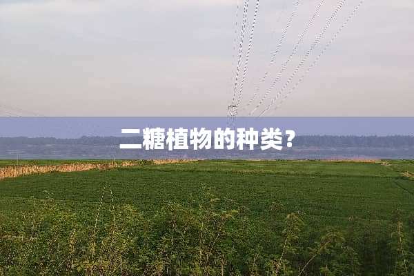 二糖植物的种类？