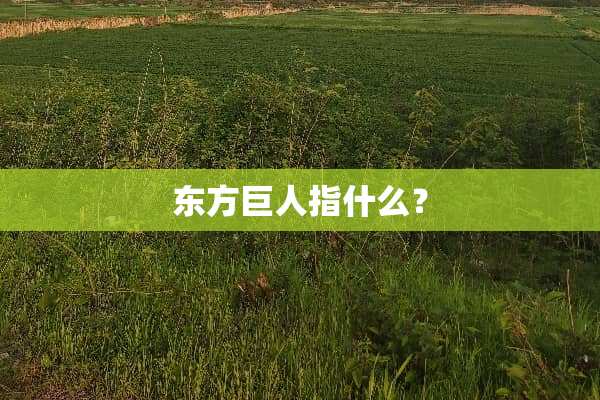 东方巨人指什么？