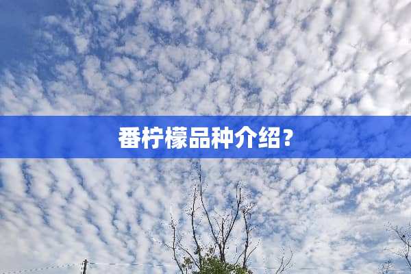 番柠檬品种介绍？