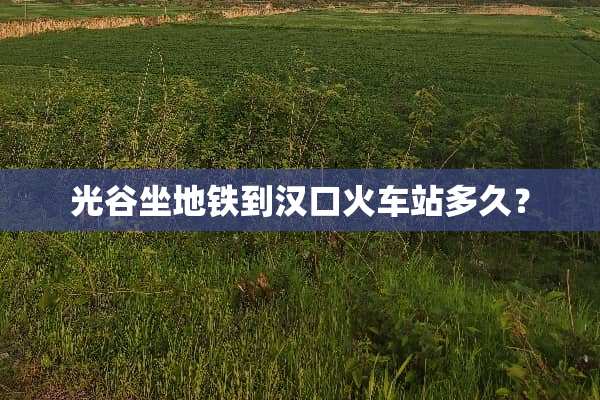 光谷坐地铁到汉口火车站多久？