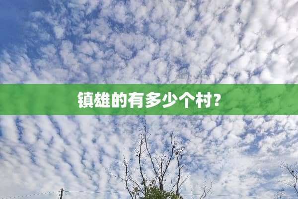 镇雄的有多少个村？