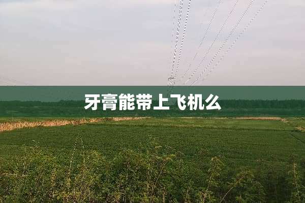 牙膏能带上飞机么