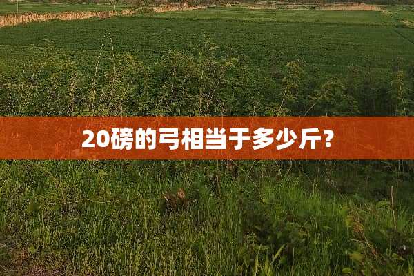 20磅的弓相当于多少斤？