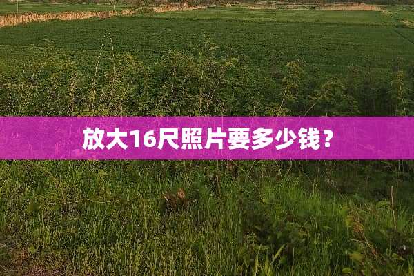 放大16尺照片要多少钱？