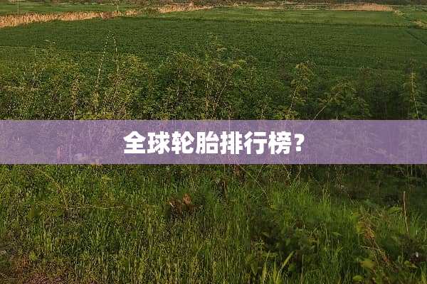全球轮胎排行榜？