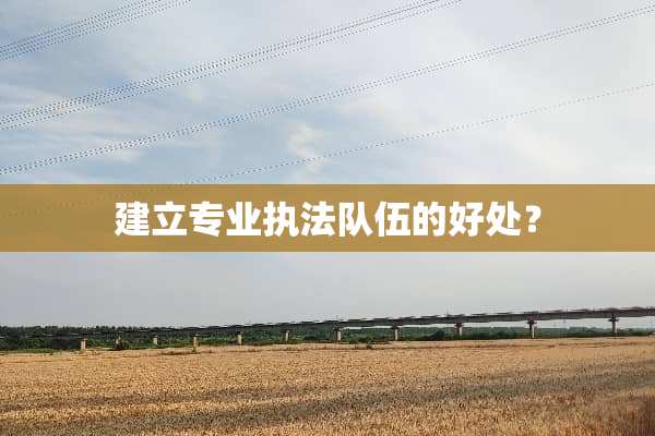 建立专业执法队伍的好处？