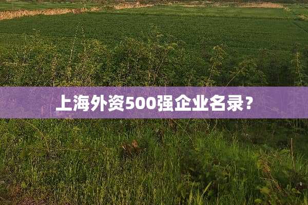 上海外资500强企业名录？