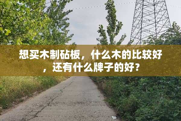 想买木制砧板，什么木的比较好，还有什么牌子的好？