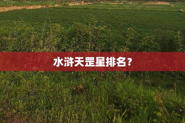水浒天罡星排名？